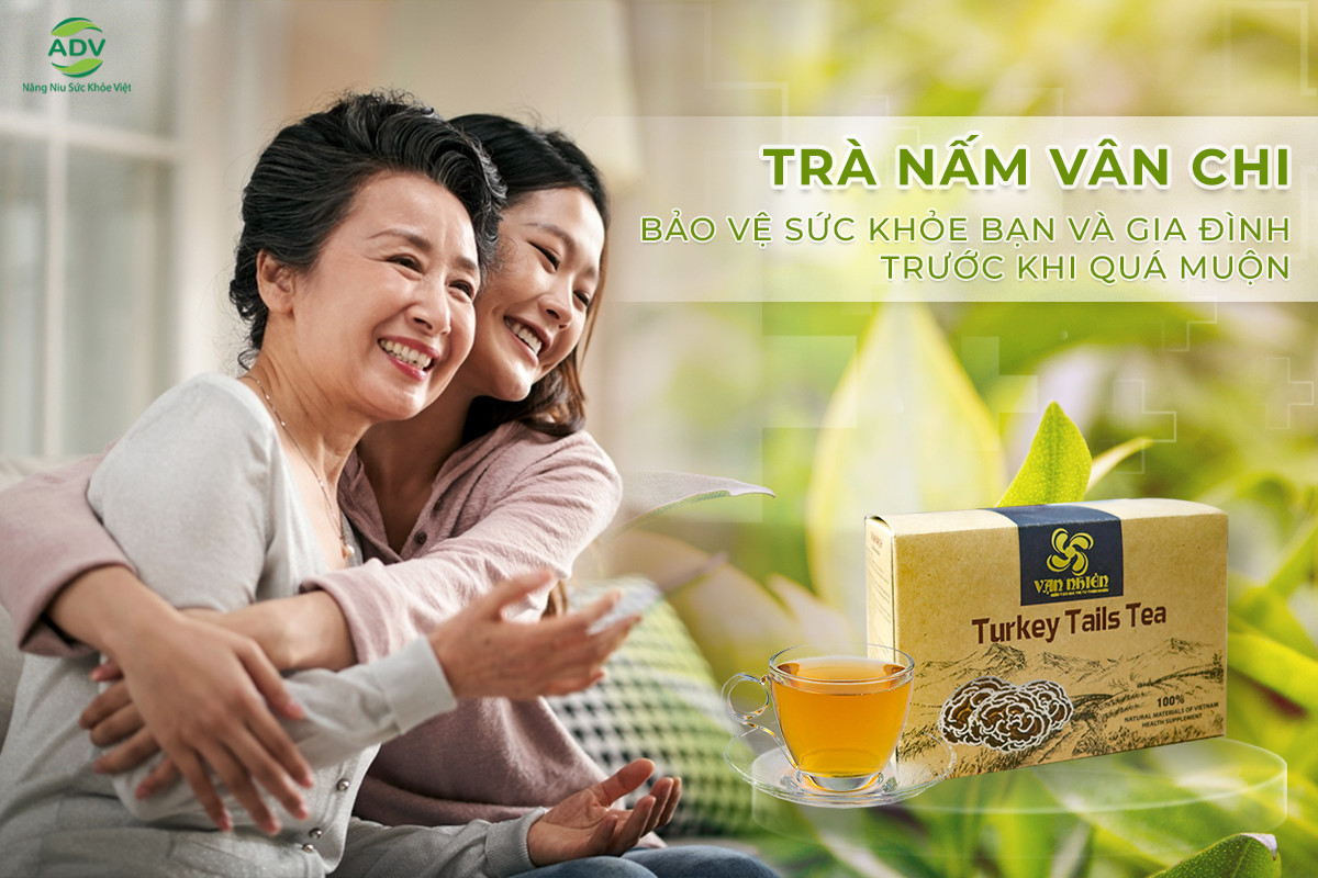  Top 7 Loại Trà Thảo Dược Tốt Nhất Cho Sức Khỏe: Trà Nấm Vân Chi Dẫn Đầu