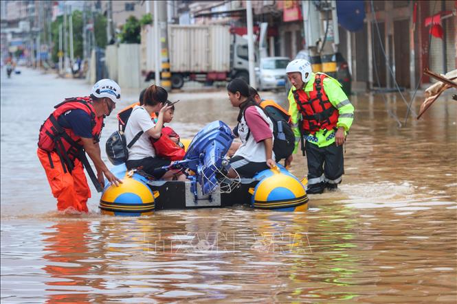 3 Biện Pháp Đơn Giản Để Phòng Đối Phó Với Bệnh Dịch Trong Mùa Mưa Lũ