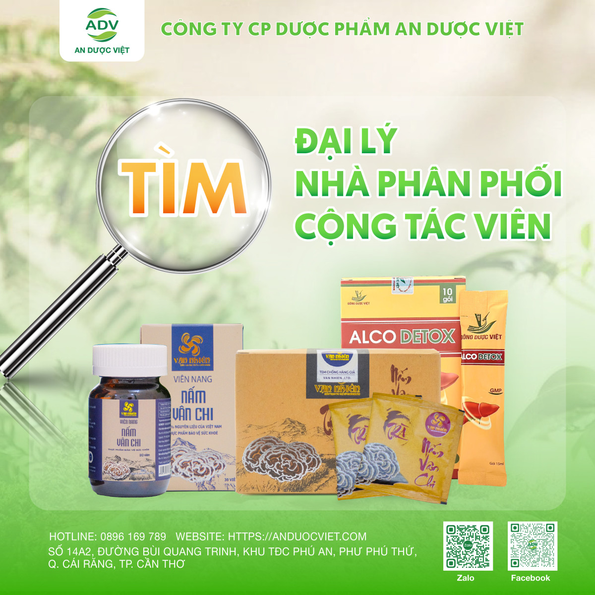 An Dược Việt: Tìm đối tác phân phối sản phẩm, chiết khấu hấp dẫn!