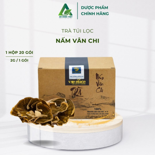 Trà túi lọc Nấm vân chi An Dược Việt hỗ trợ giải độc gan và tăng cường sức đề kháng 20 gói/ 1 hộp