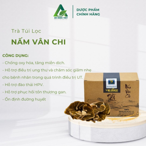 Trà túi lọc Nấm vân chi An Dược Việt hỗ trợ giải độc gan và tăng cường sức đề kháng 20 gói/ 1 hộp