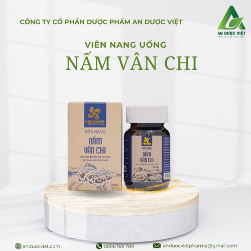 Viên nang Nấm Vân Chi hỗ trợ bảo vệ gan tăng cường sức đề kháng và chống oxy hóa lọ 30 viên 750mg - An Dược Việt